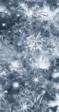 Load image into Gallery viewer, Ballet Belle SAB Skirt - Snowflake Silver
